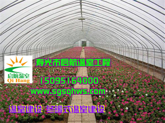 蔬菜大棚建設(shè)  全鋼架鋼梁拱棚建 專業(yè)溫室工程公司