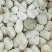 博淼銷售 鋪路裝飾用白石子 白色水洗石子 白色石米 *