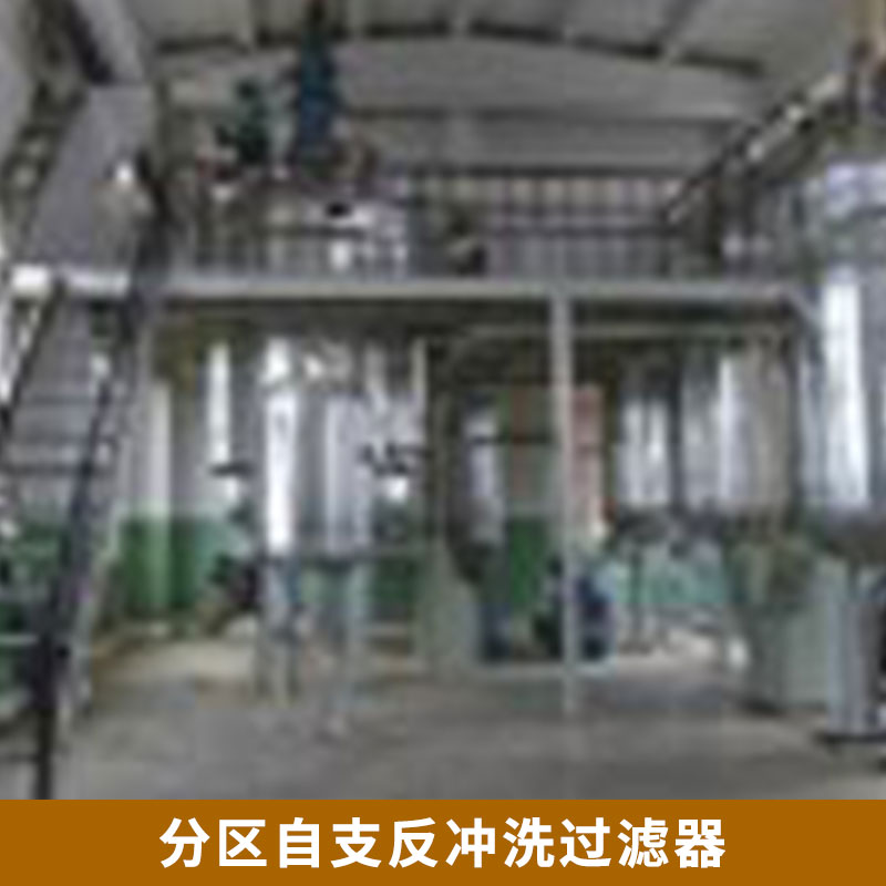 分區(qū)自支反沖洗過(guò)濾器 全自動(dòng)自清洗過(guò)濾器 自動(dòng)反沖洗過(guò)濾 不銹鋼碳鋼自清洗過(guò)濾器 歡迎來(lái)電訂購(gòu)