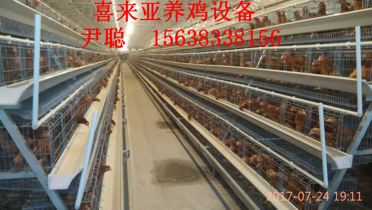 A型階梯式蛋雞籠廠家在哪里，喜來亞設(shè)備*，質(zhì)量好 A型階梯式蛋雞籠廠家