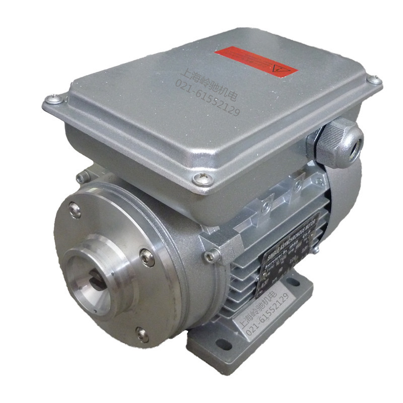 旋轉(zhuǎn)葉片泵用單相電容電機(jī)120W250W370W550W