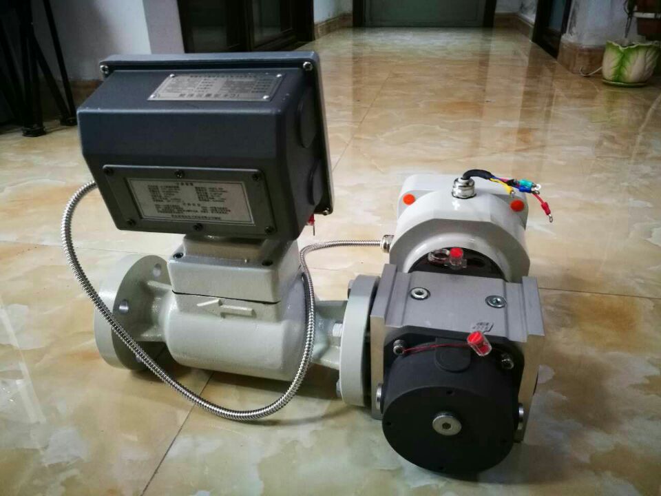 IC卡智能流量計(羅茨)