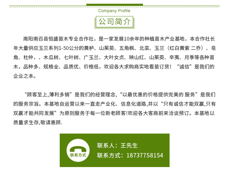 盆景基地南陽榔榆盆景玉蘭盆景