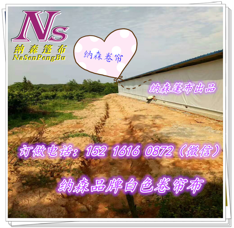 牛篷篷布定做，牛篷篷布圖片，牛篷篷布廠家，牛篷篷布報(bào)價(jià)