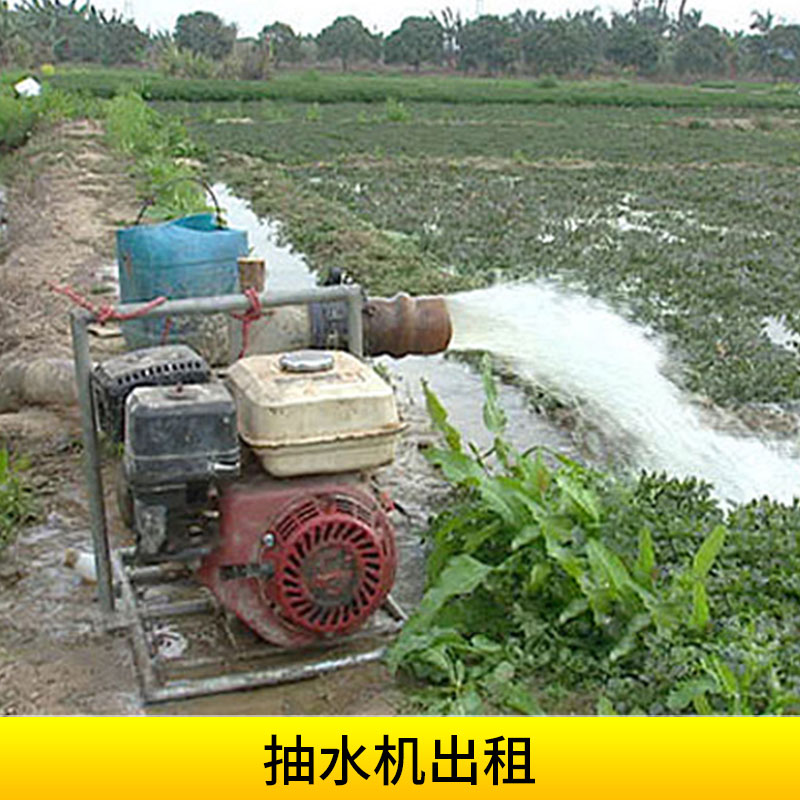 *機組出租農(nóng)用灌溉抗旱泄洪電動*機潛水泵自吸泵租賃