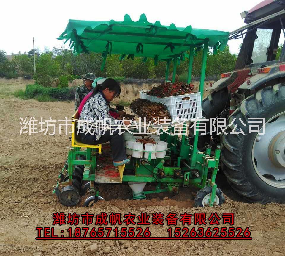 辣椒 多功能移栽機(jī) 栽苗機(jī) 娃娃菜