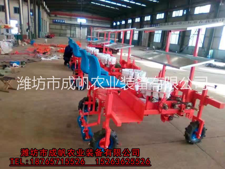 辣椒 2TX-2型胡蘿卜移栽機(jī) 甘藍(lán)