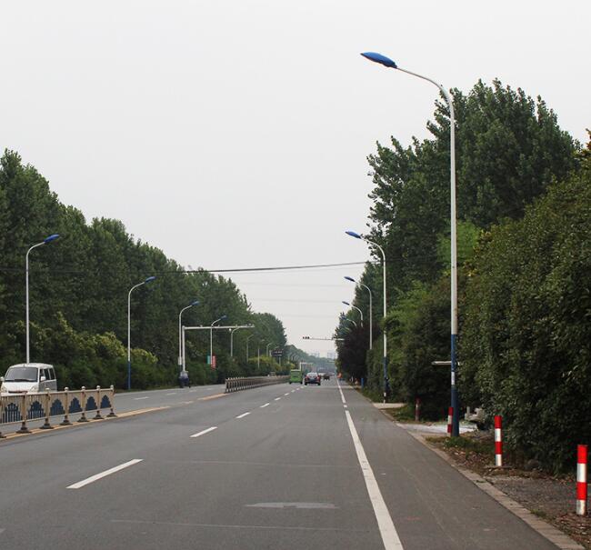 江蘇弘光照明生產(chǎn)9米路燈自彎臂路燈單頭雙頭道路燈