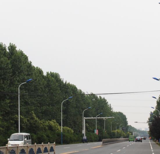 揚(yáng)州弘旭照明生產(chǎn)9米路燈自彎臂路燈單頭雙頭道路燈