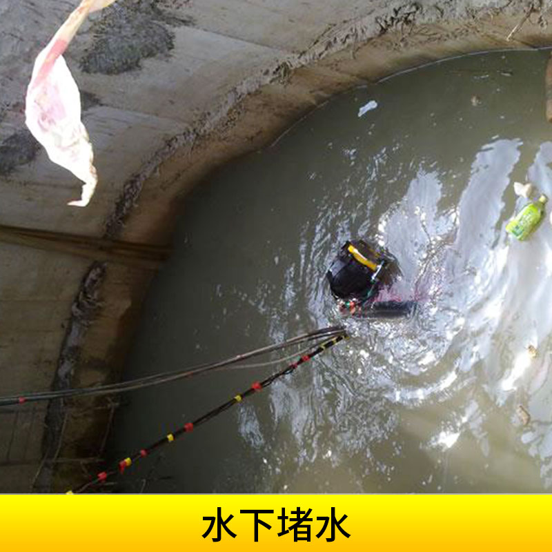 市政管道/閘門堵漏加固水下堵水水下作業(yè)砌墻封堵水下作業(yè)工程施工