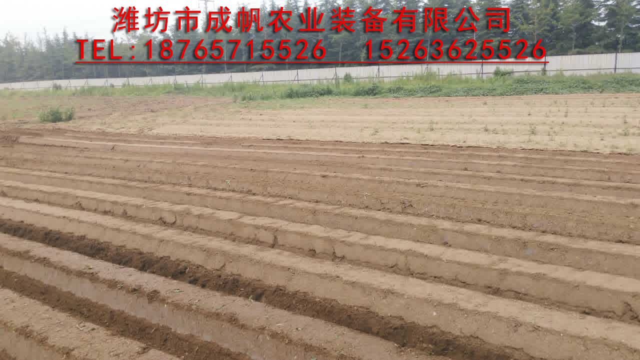 旋耕 成帆1ZKH-160型胡蘿卜起壟機 開溝