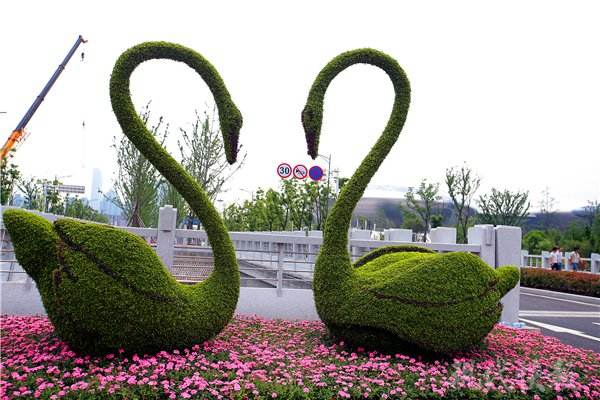 景心園藝城市綠雕扮靚城市