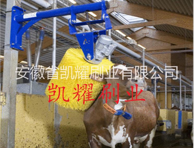 凱耀制刷廠供應(yīng)牛體刷.奶牛清洗毛刷輥.品質(zhì)保證，.可按需定制