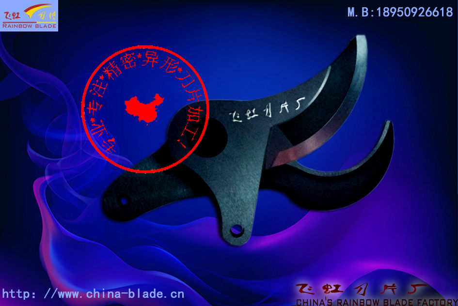 上海高枝*片|長期供應上海高枝*片|上海高枝*片哪里有|