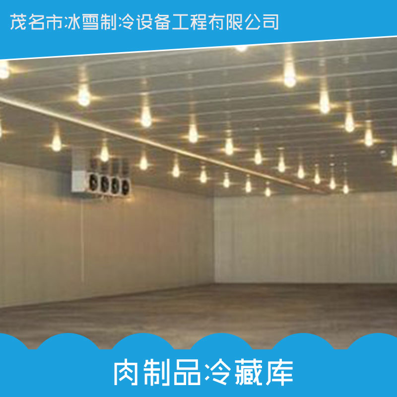肉制品冷藏庫 水果蔬菜 肉制品海鮮 冷藏冷凍庫 多樣式選擇 安全環(huán)保 廠家直銷