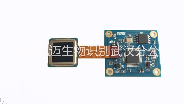 半導(dǎo)體電容指紋模塊 半導(dǎo)體電容指紋模塊深圳凱邁 半導(dǎo)體指紋模塊深圳凱邁 半導(dǎo)體指紋模塊深圳凱邁AFM31