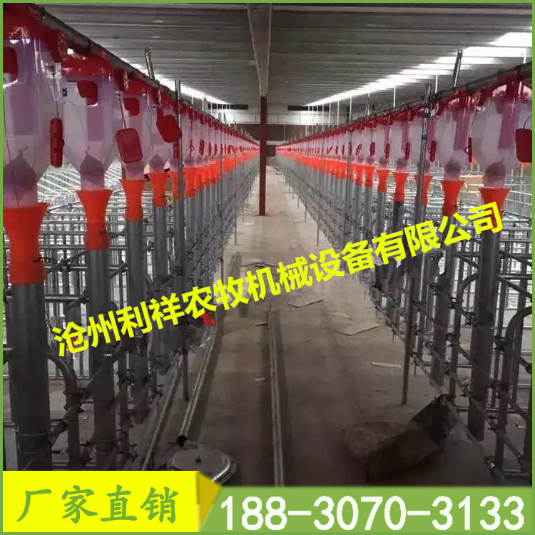 豬場(chǎng)自動(dòng)化料線母豬料線 豬用料線定位欄料線絞龍式自動(dòng)上料