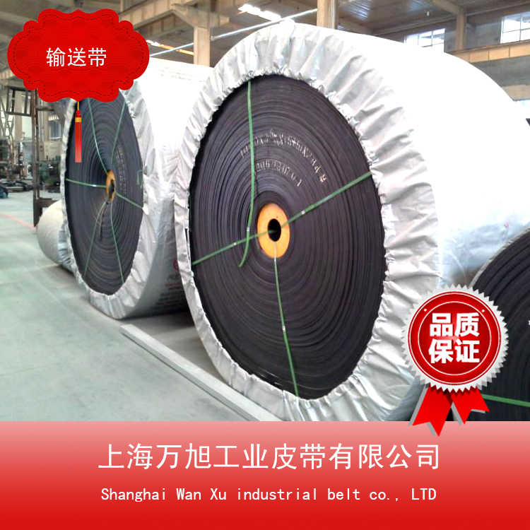 廠家大量供應(yīng)尼龍輸送帶