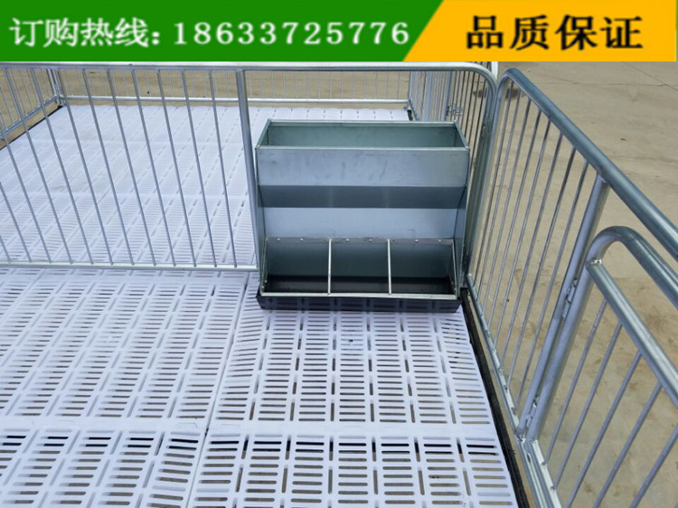 養(yǎng)豬設(shè)備小豬保育床 泊頭小豬床廠家 熱鍍鋅管焊接保育床價(jià)格