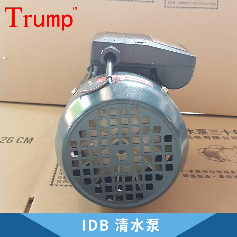 廠家直銷 廣東 IDB 清水泵 550W水泵 家用泵 水泵 品質(zhì)保障