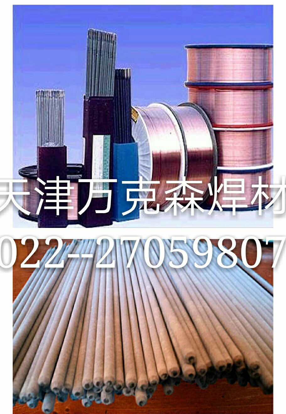 DS012模具耐磨焊條