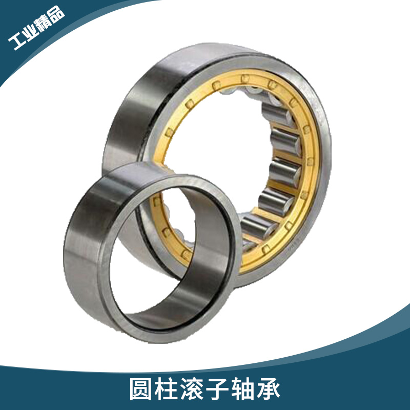 德國TDN系列 圓柱滾子軸承 電動(dòng)機(jī)/內(nèi)燃機(jī)高徑向負(fù)荷線接觸軸承 TDN軸承