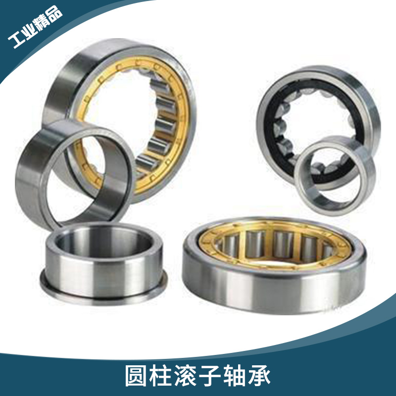 德國TDN系列 圓柱滾子軸承 電動(dòng)機(jī)/內(nèi)燃機(jī)高徑向負(fù)荷線接觸軸承 TDN軸承