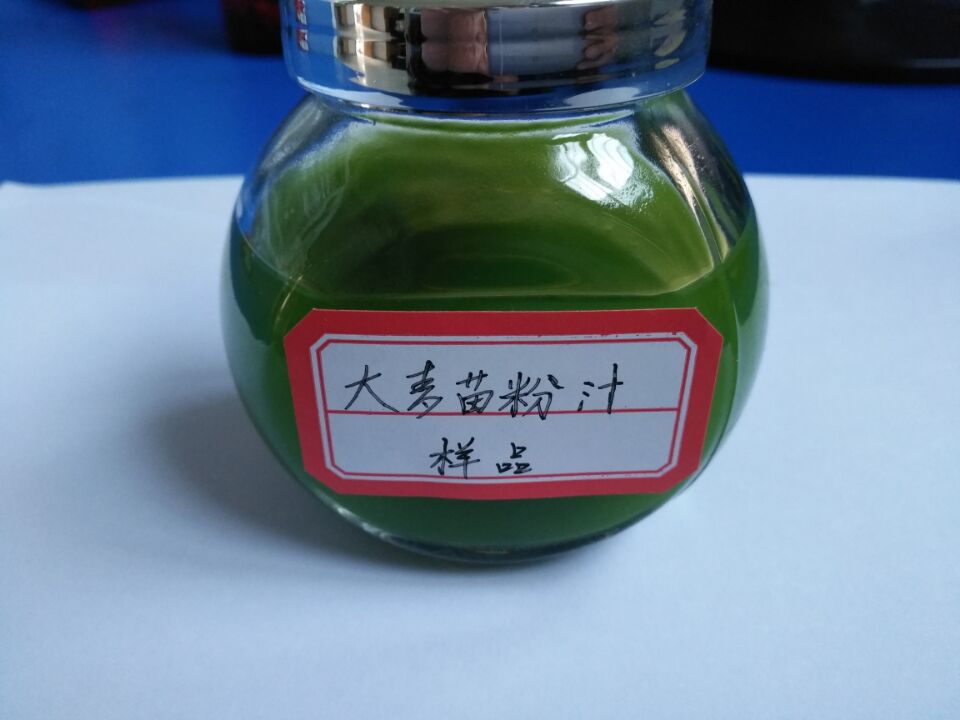 大麥苗粉 大麥若葉青汁 大麥苗粉廠家 大麥苗粉哪家好 大麥苗粉500目 大麥苗汁粉