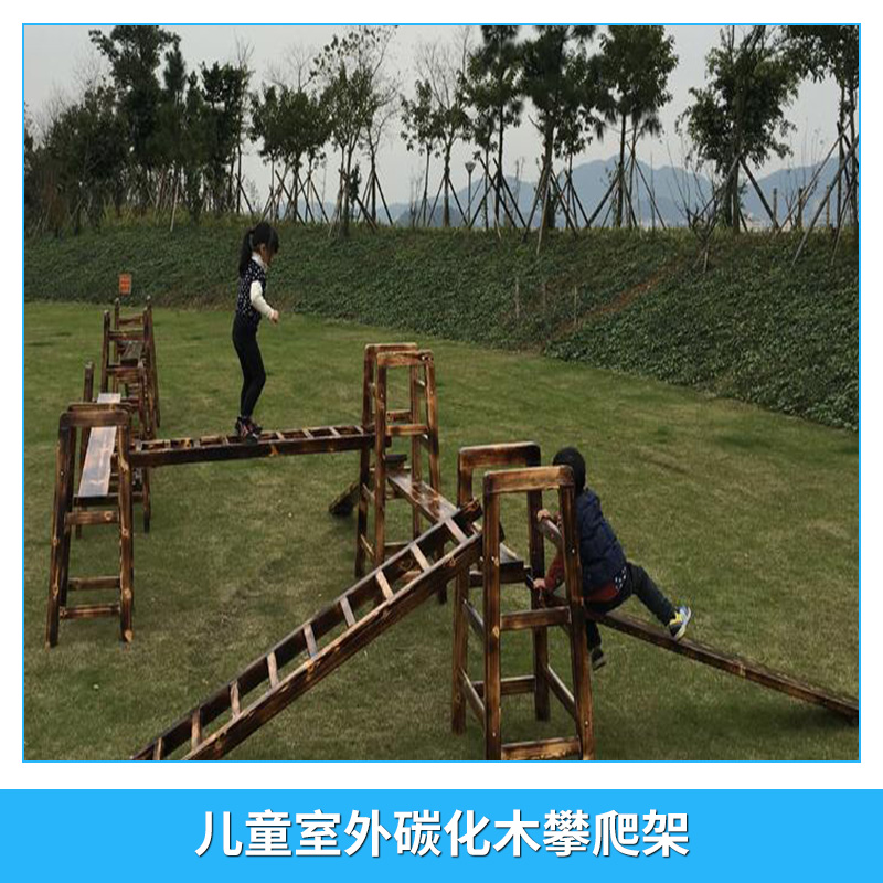 兒童室外碳化木攀爬架 幼兒園園區(qū)公園設(shè)施 游樂場設(shè)備配套 多種款式