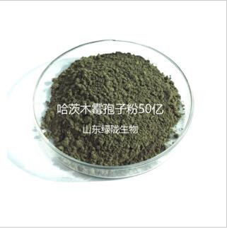 山東綠隴生物哈茨木霉菌防治*病害