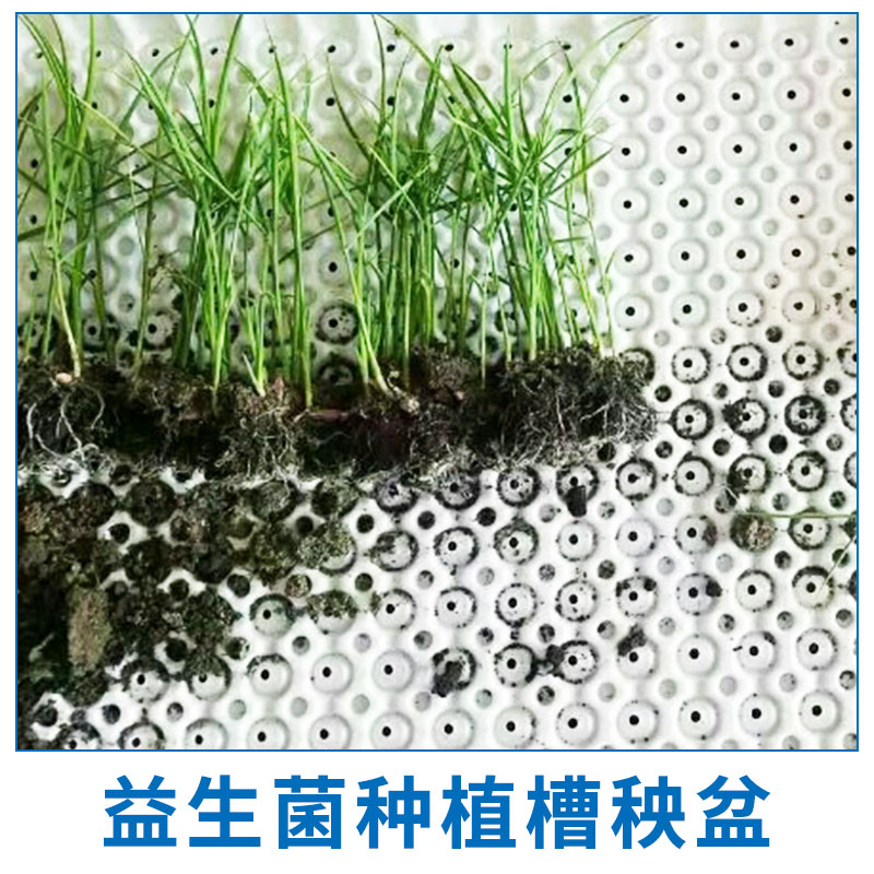 益生菌種植槽秧盆生產(chǎn) 園藝種植槽 營養(yǎng)種植槽 PVC栽培槽 水培培養(yǎng)槽 歡迎來電訂購