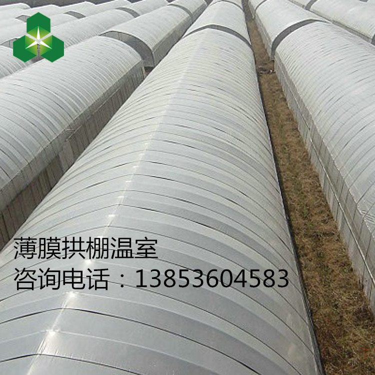 單棟農(nóng)用拱棚 薄膜溫室 單棟農(nóng)用拱棚薄膜溫室 價(jià)格低的溫室大棚