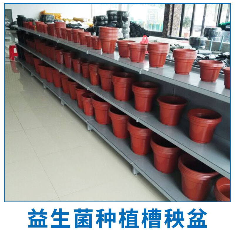 益生菌種植槽秧盆生產(chǎn) 園藝種植槽 營養(yǎng)種植槽 PVC栽培槽 水培培養(yǎng)槽 歡迎來電訂購