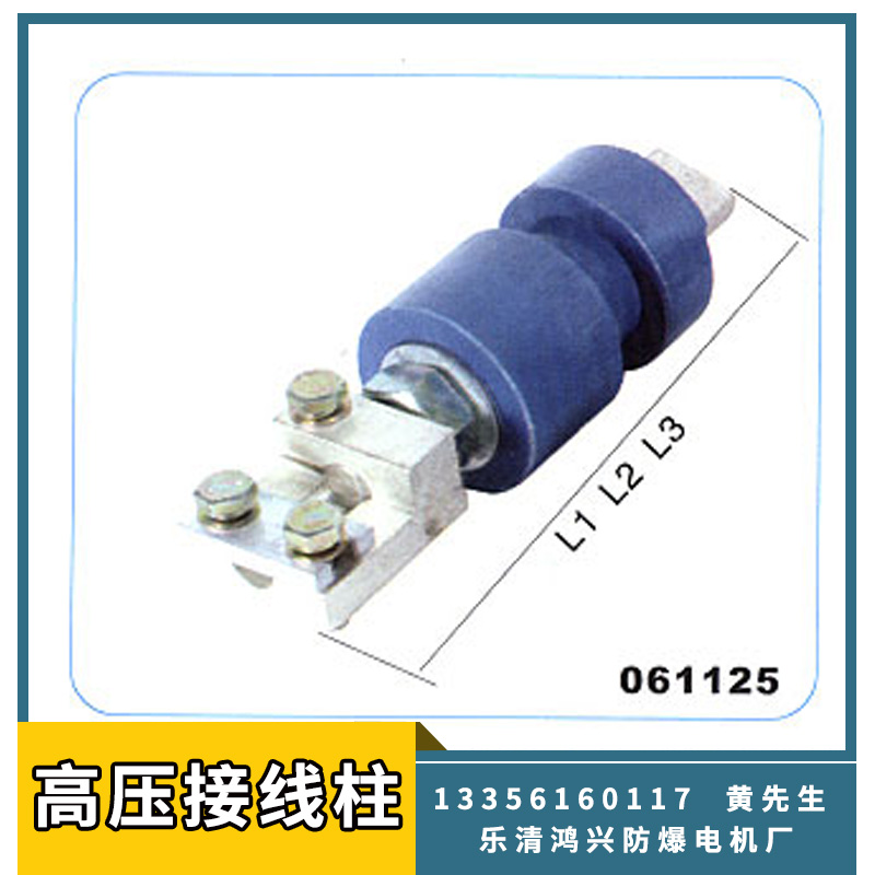 高壓接線柱批發(fā) 型號款式齊全 高壓防爆連接器 電子元件電機配件