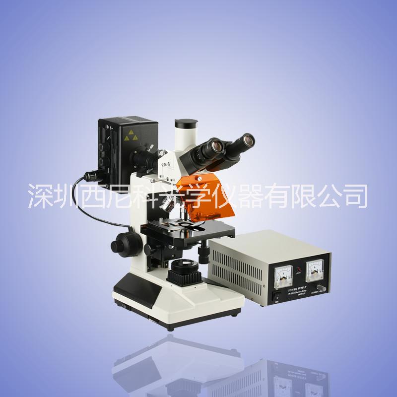 國產(chǎn)/正置熒光顯微鏡 雙目/三目熒光高倍顯微鏡 實(shí)驗(yàn)研究分析