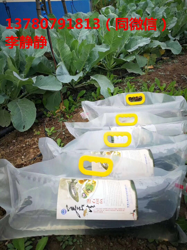 供 石斑魚 工業(yè)化養(yǎng)殖 工廠化養(yǎng)殖 海容模塊養(yǎng)殖 海容模塊廠家直銷