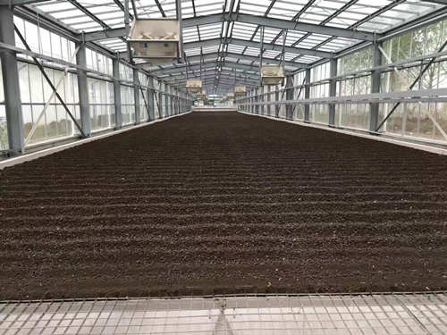 環(huán)保處理污泥-太陽能污泥干化處理溫室