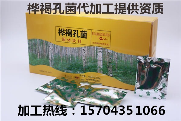 樺褐孔菌片白樺茸片貼牌代加工