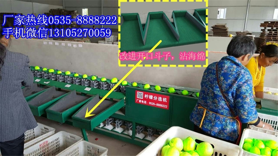 青棗分選機(jī)廠家聯(lián)系方式