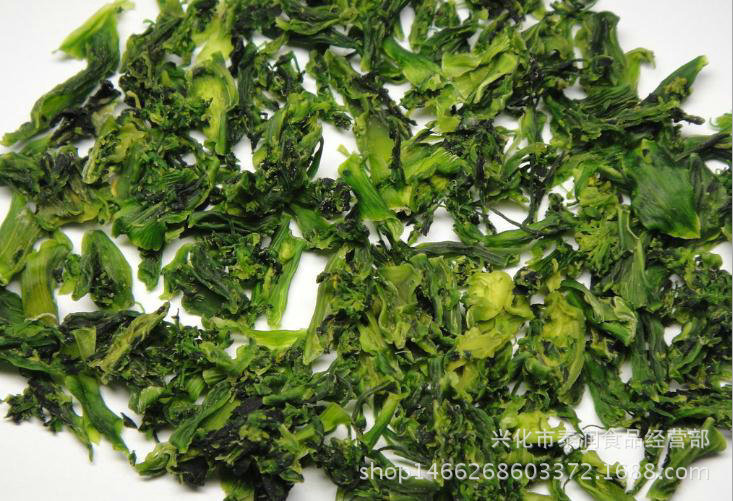 西蘭花 脫水西蘭花 脫水西蘭花蔬菜直銷 花椰菜干批發(fā) 西蘭花直銷