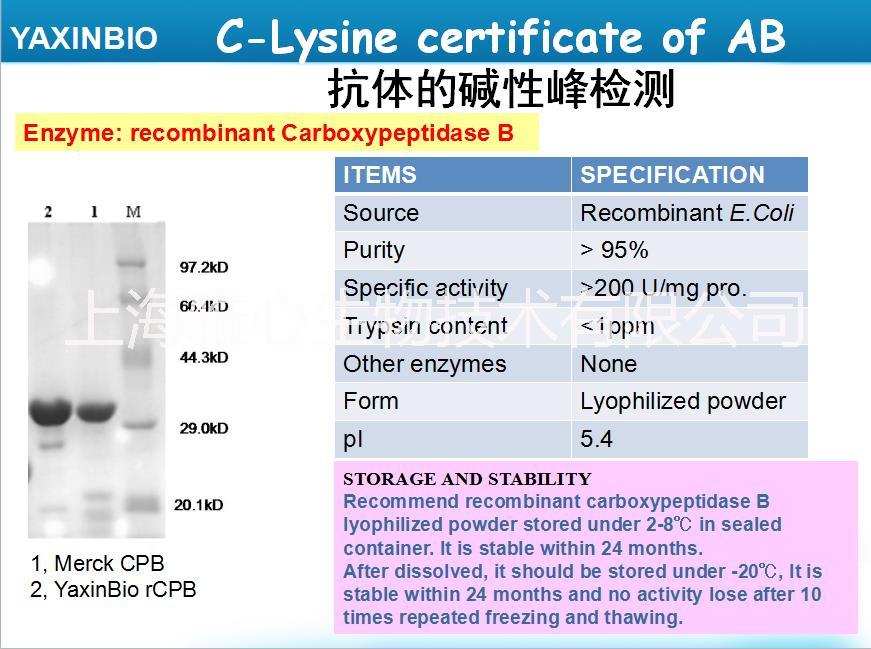供應(yīng)用于蛋白質(zhì)測序的序列分析純羧肽酶B 序列分析純羧肽酶B