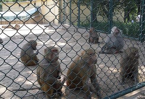 篩網(wǎng)廠家  鉤花網(wǎng) 篩網(wǎng)廠家  勾花網(wǎng)