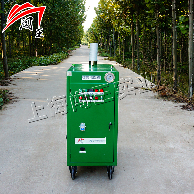 燃氣蒸汽清洗機 移動蒸汽洗車機 環(huán)保蒸汽洗車設(shè)備 培訓基地