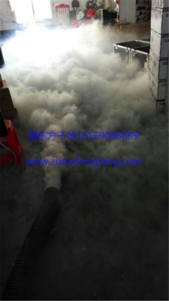 供應降保溫冷冰敷生物制小 干冰包運輸 生物冰袋 山東生物冰袋