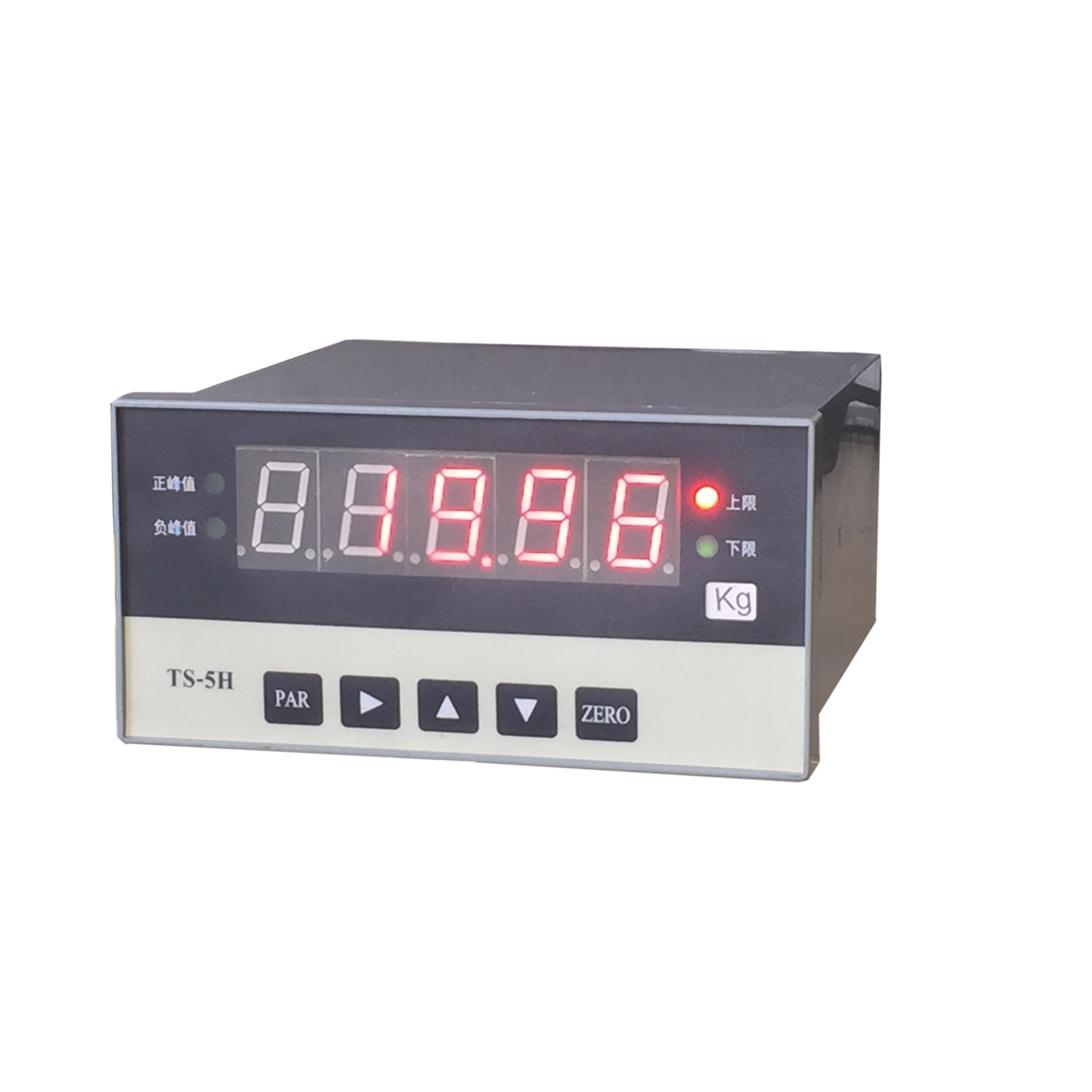 稱重儀表 TS-5 北京宇科泰吉