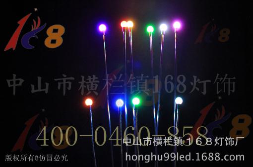 蘆葦燈供應(yīng)商批發(fā)，LED蘆葦燈，螢火蟲燈多少錢  中山蘆葦燈