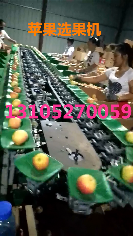 蘋果分選機哪家質量好