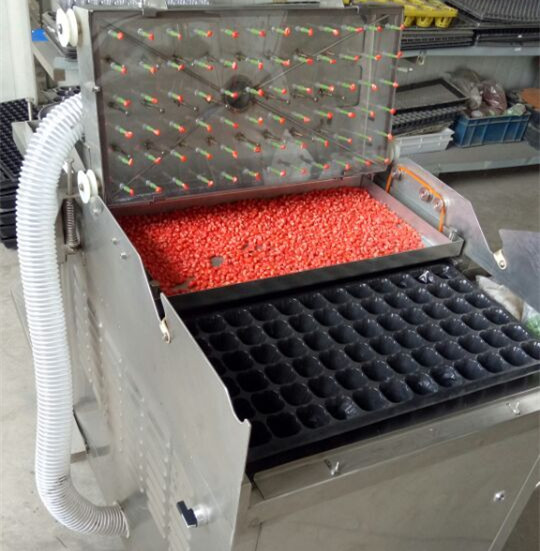 穴盤播種機 針吸式播種 常州風(fēng)雷