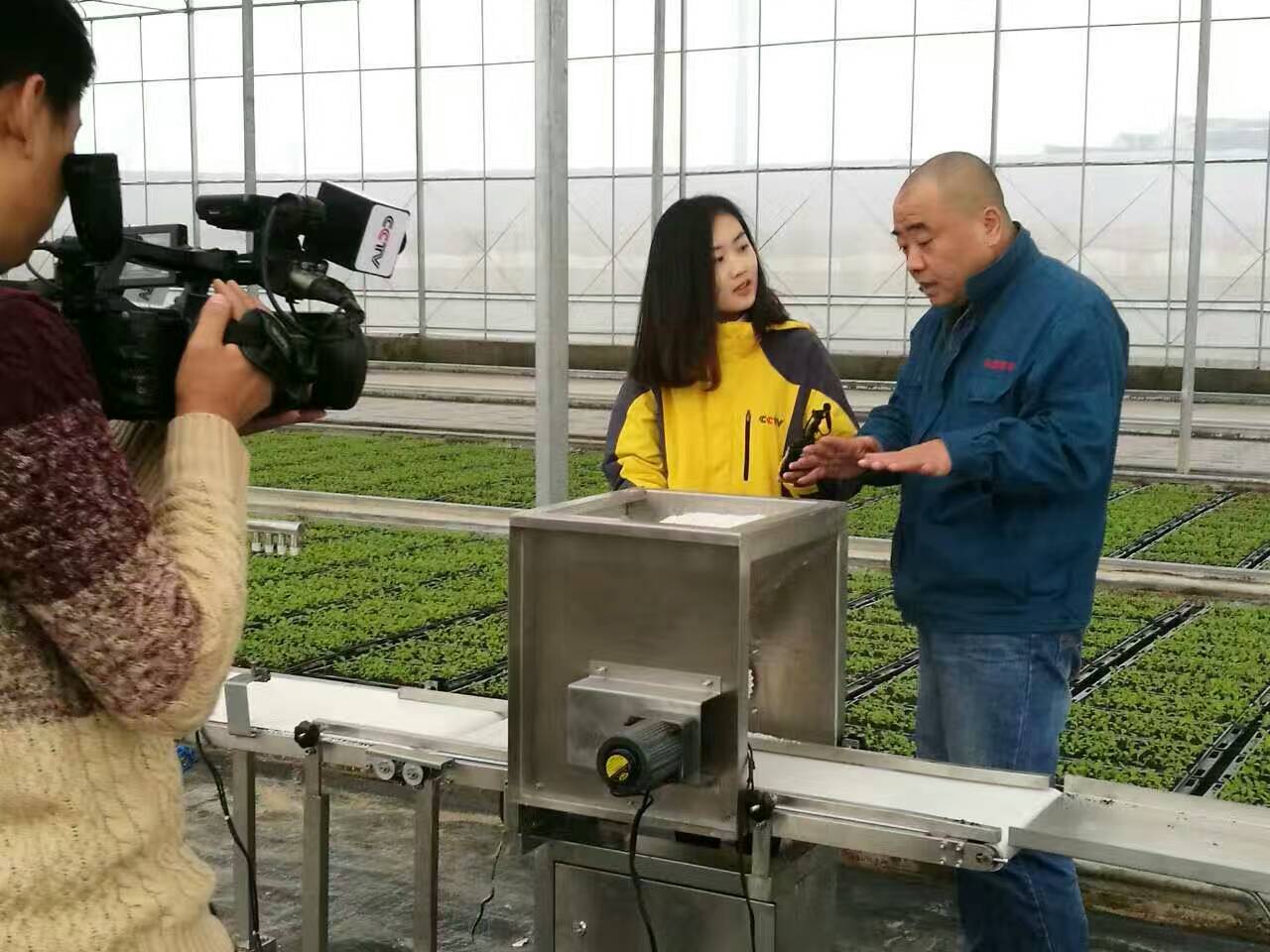 育苗生產(chǎn)線 穴盤播種機(jī) 常州風(fēng)雷