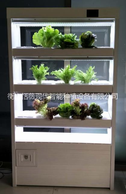 恬薇現(xiàn)代智能植物工廠 恬薇現(xiàn)代智能植物工廠新時(shí)代全智能